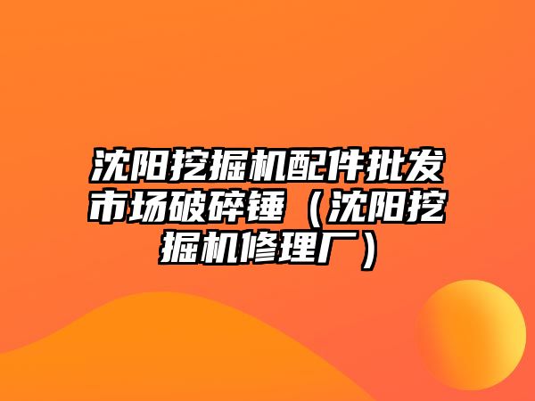 沈陽挖掘機(jī)配件批發(fā)市場(chǎng)破碎錘（沈陽挖掘機(jī)修理廠）