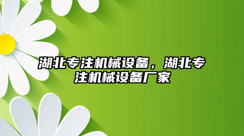 湖北專注機(jī)械設(shè)備，湖北專注機(jī)械設(shè)備廠家