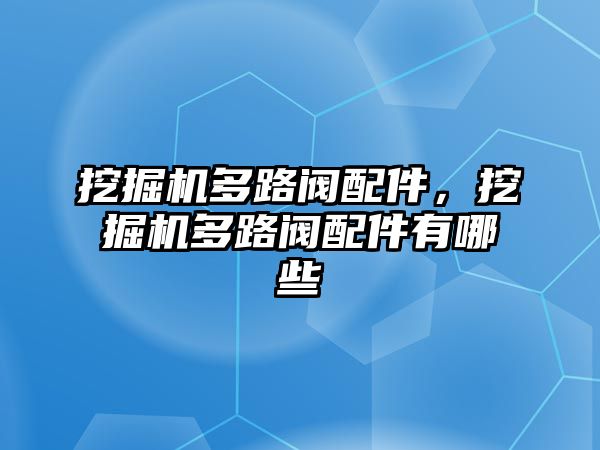 挖掘機(jī)多路閥配件，挖掘機(jī)多路閥配件有哪些