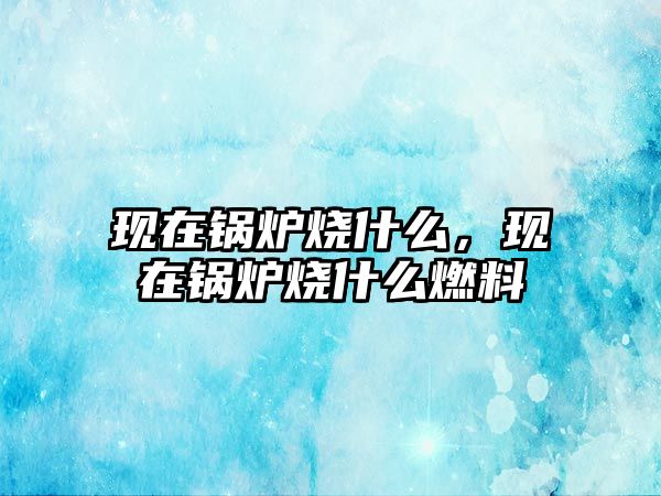 現(xiàn)在鍋爐燒什么，現(xiàn)在鍋爐燒什么燃料