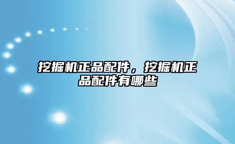 挖掘機正品配件，挖掘機正品配件有哪些