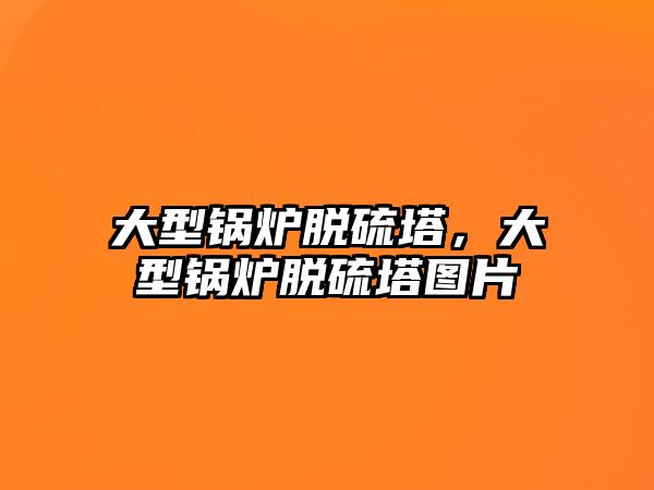 大型鍋爐脫硫塔，大型鍋爐脫硫塔圖片