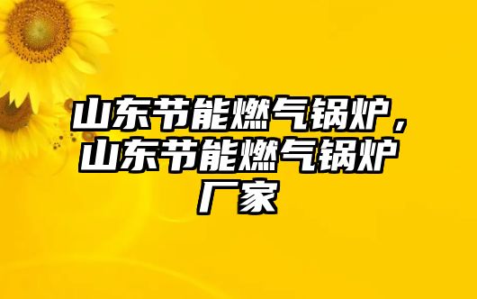 山東節(jié)能燃?xì)忮仩t，山東節(jié)能燃?xì)忮仩t廠家