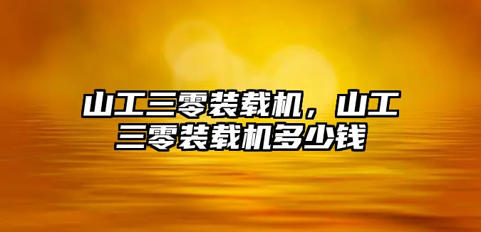 山工三零裝載機(jī)，山工三零裝載機(jī)多少錢(qián)