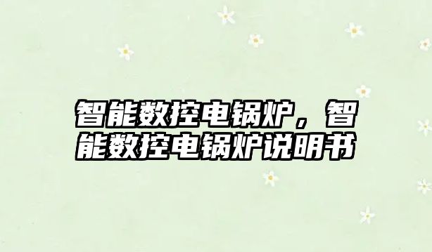 智能數(shù)控電鍋爐，智能數(shù)控電鍋爐說明書