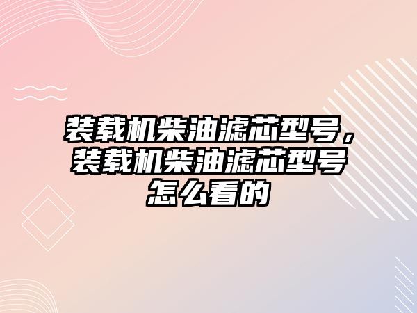 裝載機(jī)柴油濾芯型號，裝載機(jī)柴油濾芯型號怎么看的