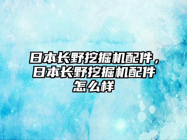 日本長野挖掘機配件，日本長野挖掘機配件怎么樣