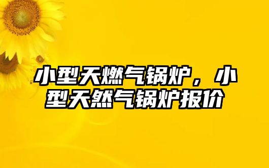 小型天燃?xì)忮仩t，小型天然氣鍋爐報(bào)價(jià)