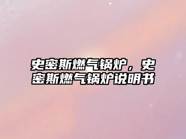 史密斯燃?xì)忮仩t，史密斯燃?xì)忮仩t說(shuō)明書(shū)