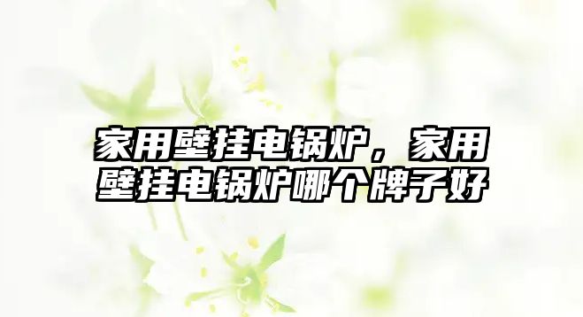 家用壁掛電鍋爐，家用壁掛電鍋爐哪個(gè)牌子好