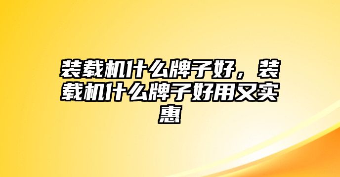 裝載機什么牌子好，裝載機什么牌子好用又實惠