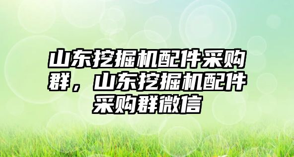 山東挖掘機(jī)配件采購群，山東挖掘機(jī)配件采購群微信