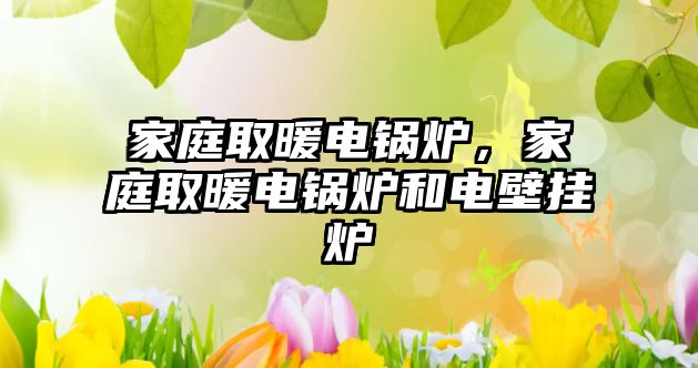 家庭取暖電鍋爐，家庭取暖電鍋爐和電壁掛爐