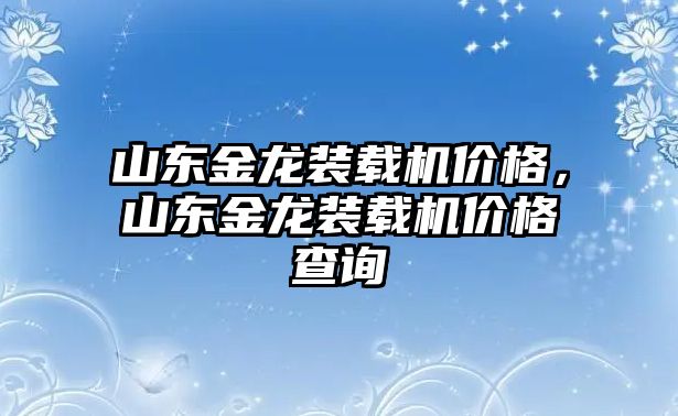 山東金龍裝載機價格，山東金龍裝載機價格查詢