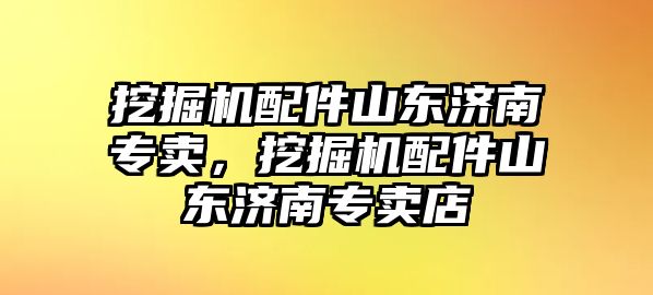 挖掘機配件山東濟南專賣，挖掘機配件山東濟南專賣店