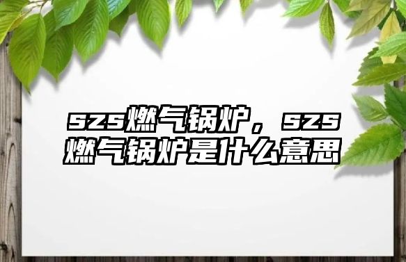 szs燃?xì)忮仩t，szs燃?xì)忮仩t是什么意思