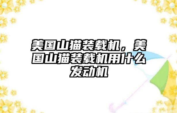 美國(guó)山貓裝載機(jī)，美國(guó)山貓裝載機(jī)用什么發(fā)動(dòng)機(jī)