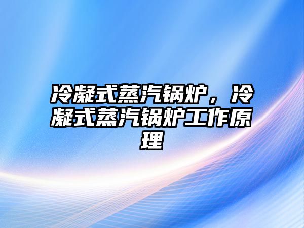 冷凝式蒸汽鍋爐，冷凝式蒸汽鍋爐工作原理