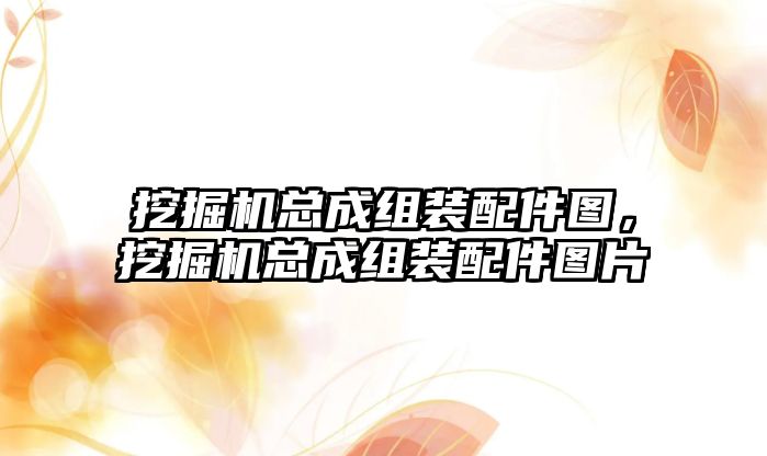 挖掘機總成組裝配件圖，挖掘機總成組裝配件圖片