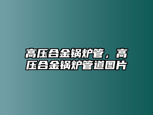 高壓合金鍋爐管，高壓合金鍋爐管道圖片