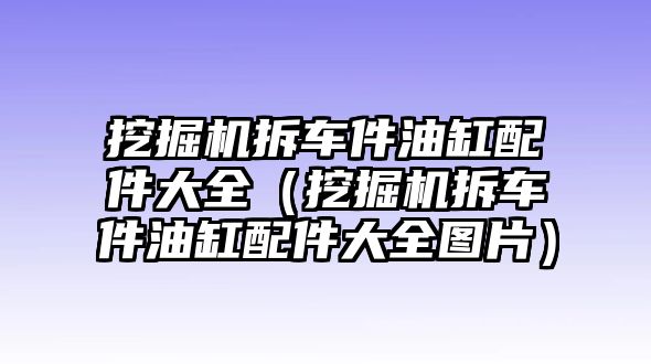 挖掘機(jī)拆車(chē)件油缸配件大全（挖掘機(jī)拆車(chē)件油缸配件大全圖片）