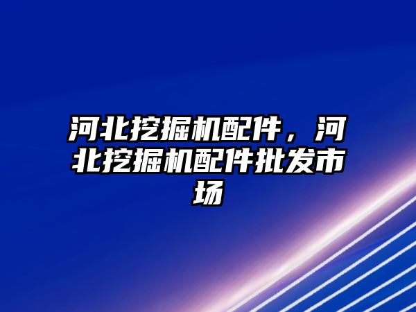 河北挖掘機配件，河北挖掘機配件批發(fā)市場