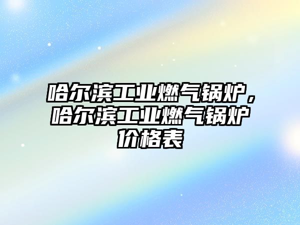 哈爾濱工業(yè)燃氣鍋爐，哈爾濱工業(yè)燃氣鍋爐價格表