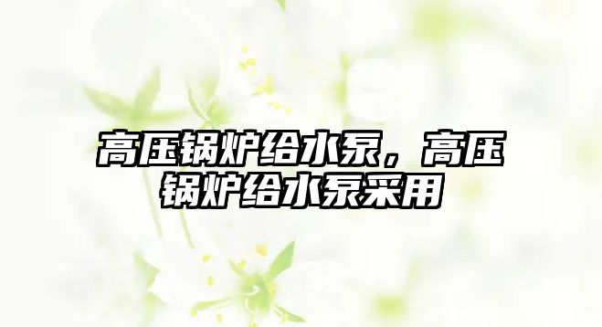 高壓鍋爐給水泵，高壓鍋爐給水泵采用