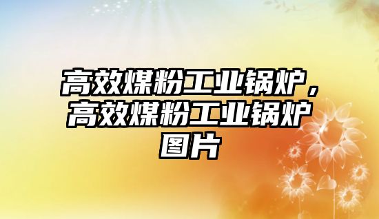 高效煤粉工業(yè)鍋爐，高效煤粉工業(yè)鍋爐圖片