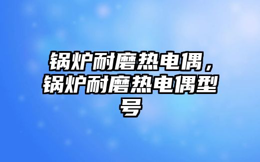 鍋爐耐磨熱電偶，鍋爐耐磨熱電偶型號