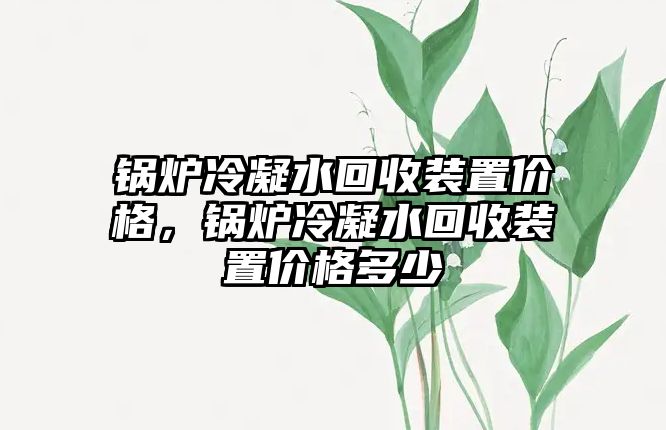 鍋爐冷凝水回收裝置價(jià)格，鍋爐冷凝水回收裝置價(jià)格多少