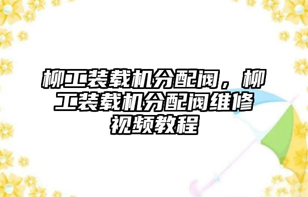 柳工裝載機(jī)分配閥，柳工裝載機(jī)分配閥維修視頻教程