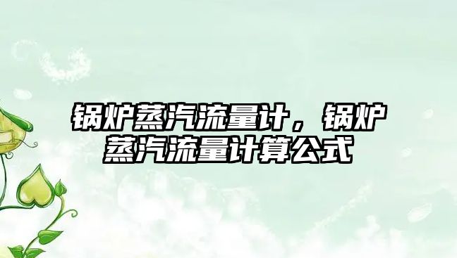 鍋爐蒸汽流量計，鍋爐蒸汽流量計算公式