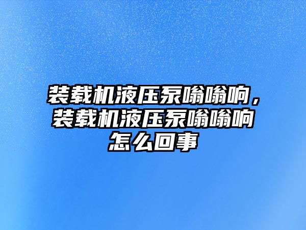 裝載機液壓泵嗡嗡響，裝載機液壓泵嗡嗡響怎么回事