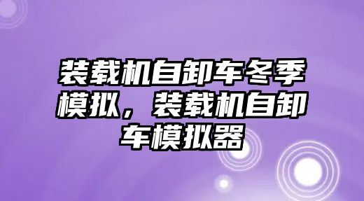 裝載機自卸車冬季模擬，裝載機自卸車模擬器