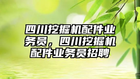 四川挖掘機配件業(yè)務員，四川挖掘機配件業(yè)務員招聘