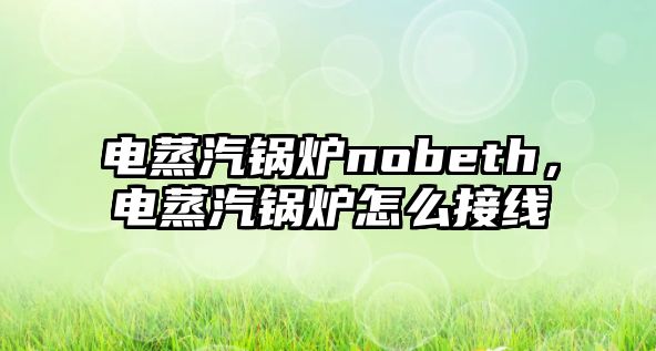 電蒸汽鍋爐nobeth，電蒸汽鍋爐怎么接線