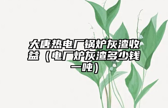 大唐熱電廠鍋爐灰渣收益（電廠爐灰渣多少錢(qián)一噸）