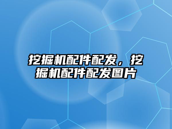 挖掘機配件配發(fā)，挖掘機配件配發(fā)圖片