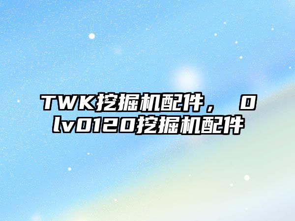 TWK挖掘機配件，ⅴ0lv0120挖掘機配件