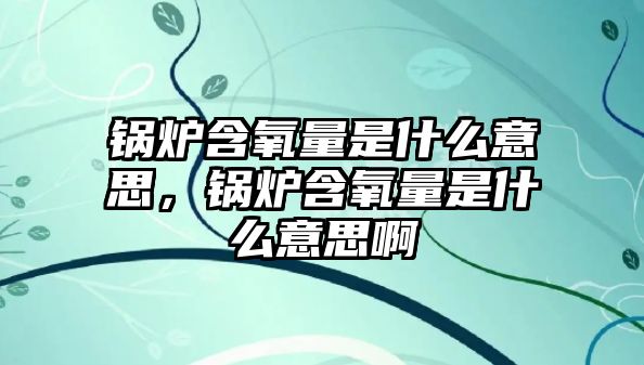 鍋爐含氧量是什么意思，鍋爐含氧量是什么意思啊