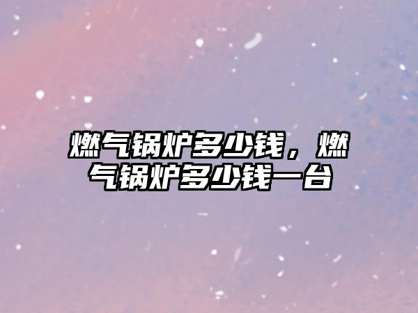 燃?xì)忮仩t多少錢，燃?xì)忮仩t多少錢一臺