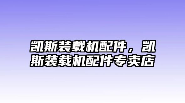 凱斯裝載機配件，凱斯裝載機配件專賣店