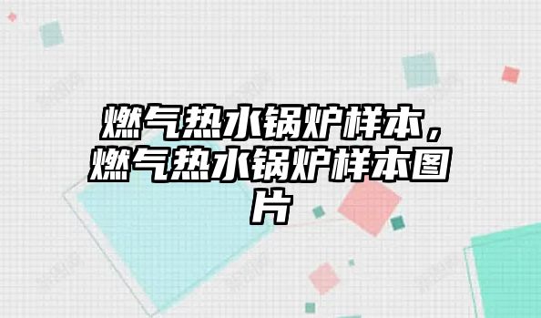 燃氣熱水鍋爐樣本，燃氣熱水鍋爐樣本圖片