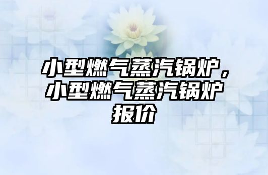 小型燃氣蒸汽鍋爐，小型燃氣蒸汽鍋爐報價