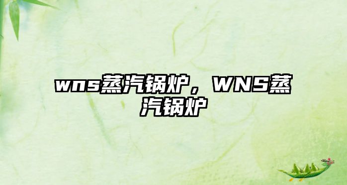 wns蒸汽鍋爐，WNS蒸汽鍋爐