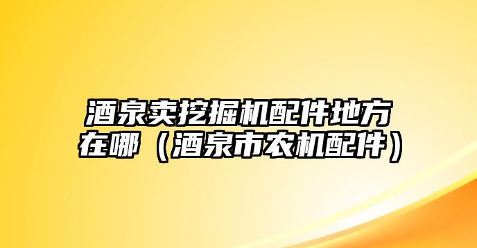 酒泉賣(mài)挖掘機(jī)配件地方在哪（酒泉市農(nóng)機(jī)配件）