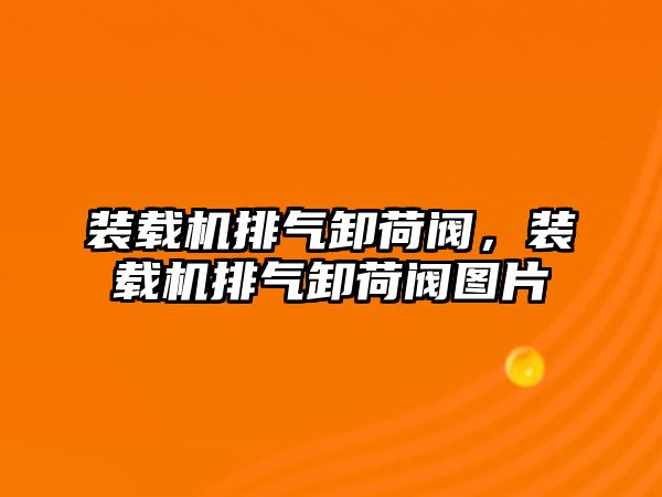 裝載機排氣卸荷閥，裝載機排氣卸荷閥圖片