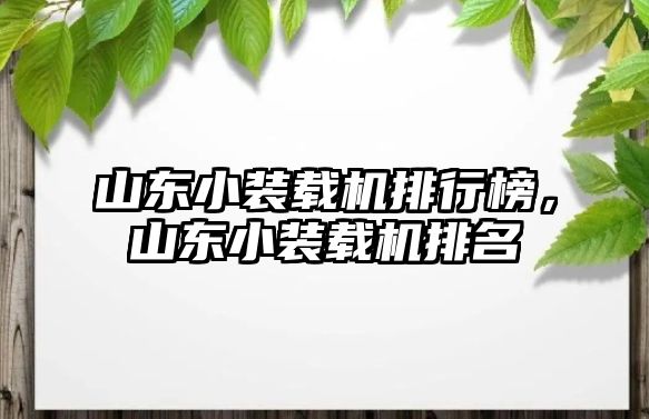 山東小裝載機排行榜，山東小裝載機排名