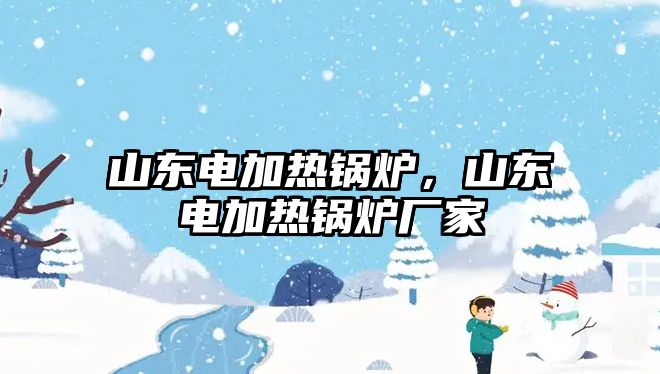 山東電加熱鍋爐，山東電加熱鍋爐廠家